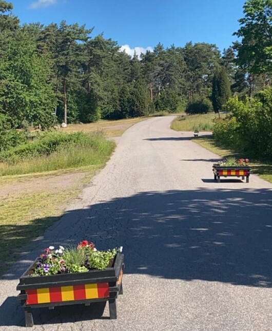 Blomlådor på plats!